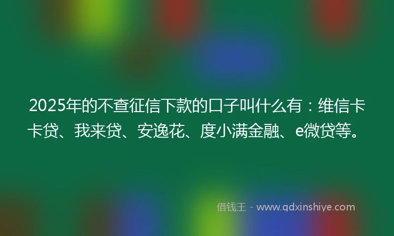 2025年的不查征信下款的口子叫什么有：维信卡卡贷、我来贷、安逸花、度小满金融、e微贷等。