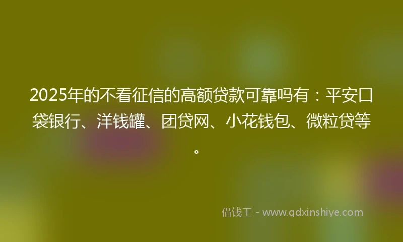 2025年的不看征信的高额贷款可靠吗有:平安口袋银行、洋钱罐、团贷网、小花钱包、微粒贷等。