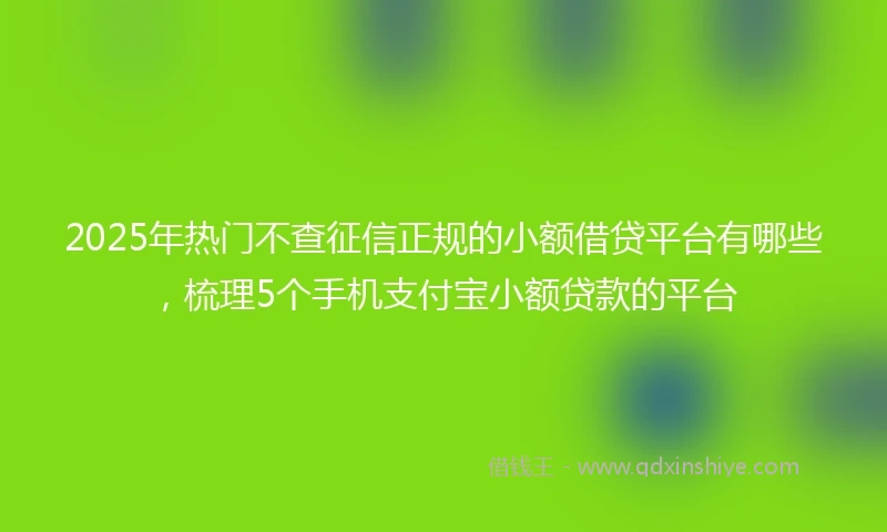 2025年热门不查征信正规的小额借贷平台有哪些，梳理5个手机支付宝小额贷款的平台