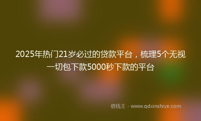 2025年热门21岁必过的贷款平台，梳理5个无视一切包下款5000秒下款的平台