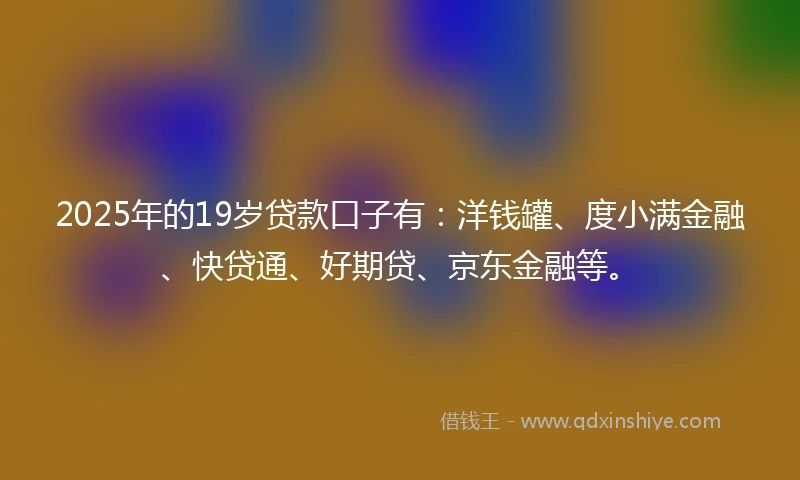 2025年的19岁贷款口子有：洋钱罐、度小满金融、快贷通、好期贷、京东金融等。