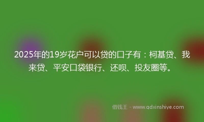 2025年的19岁花户可以贷的口子有：柯基贷、我来贷、平安口袋银行、还呗、投友圈等。