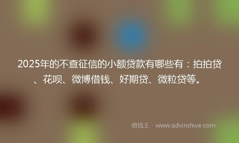 2025年的不查征信的小额贷款有哪些有：拍拍贷、花呗、微博借钱、好期贷、微粒贷等。