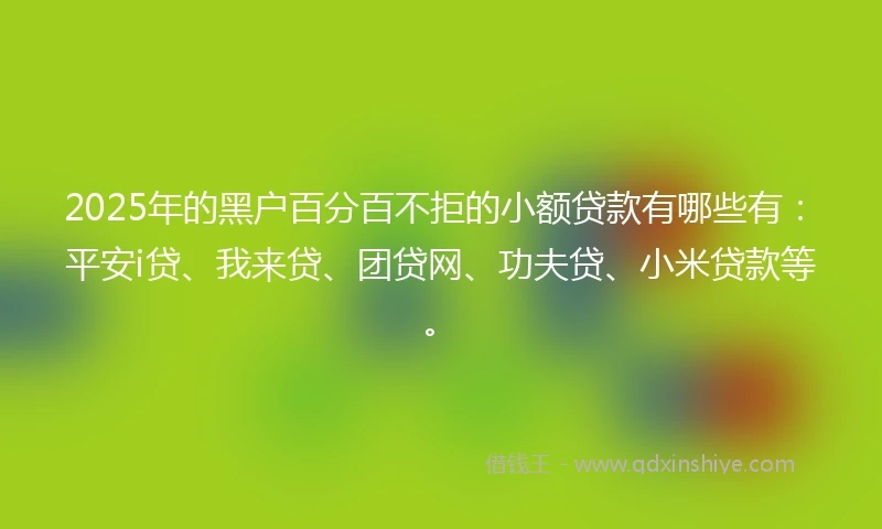 2025年的黑户百分百不拒的小额贷款有哪些有:平安i贷、我来贷、团贷网、功夫贷、小米贷款等。
