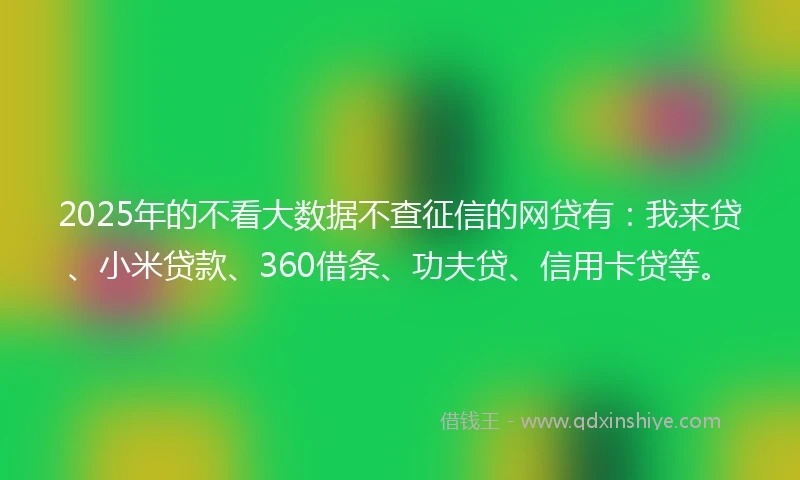 2025年的不看大数据不查征信的网贷有：我来贷、小米贷款、360借条、功夫贷、信用卡贷等。