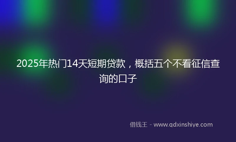 2025年热门14天短期贷款，概括五个不看征信查询的口子