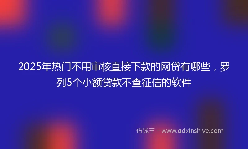 2025年热门不用审核直接下款的网贷有哪些，罗列5个小额贷款不查征信的软件