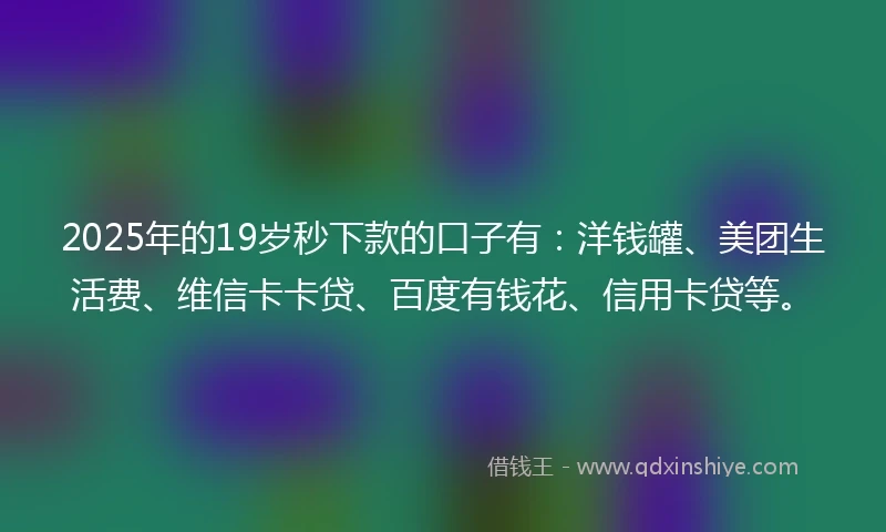 2025年的19岁秒下款的口子有：洋钱罐、美团生活费、维信卡卡贷、百度有钱花、信用卡贷等。