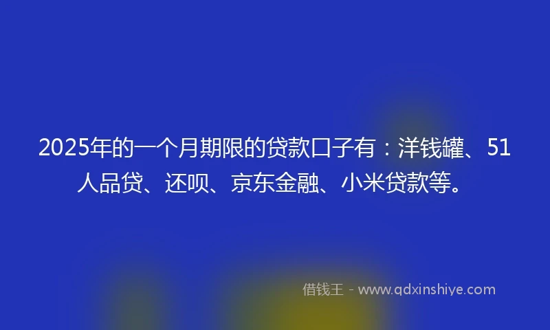 2025年的一个月期限的贷款口子有：洋钱罐、51人品贷、还呗、京东金融、小米贷款等。