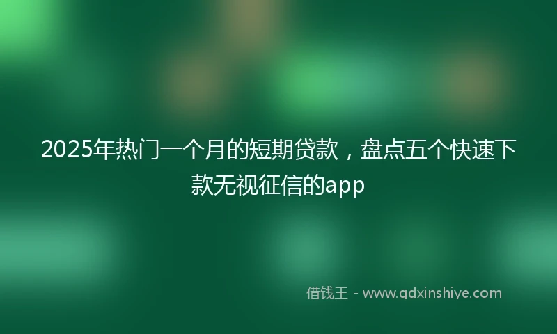 2025年热门一个月的短期贷款，盘点五个快速下款无视征信的app