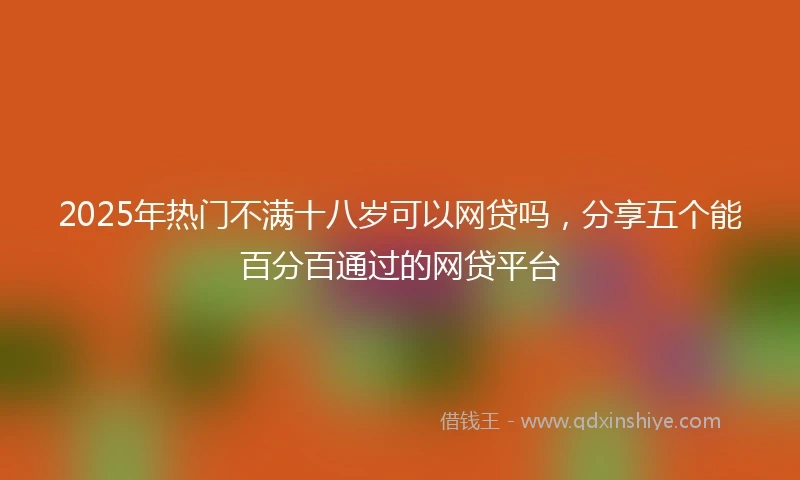 2025年热门不满十八岁可以网贷吗，分享五个能百分百通过的网贷平台
