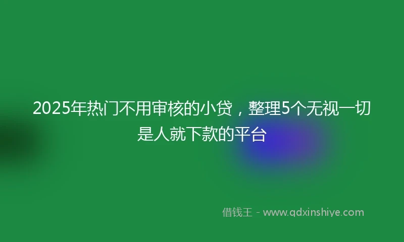 2025年热门不用审核的小贷，整理5个无视一切是人就下款的平台