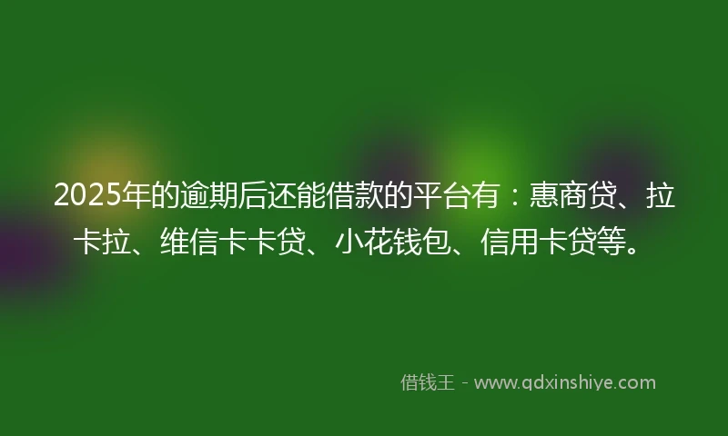 2025年的逾期后还能借款的平台有:惠商贷、拉卡拉、维信卡卡贷、小花钱包、信用卡贷等。