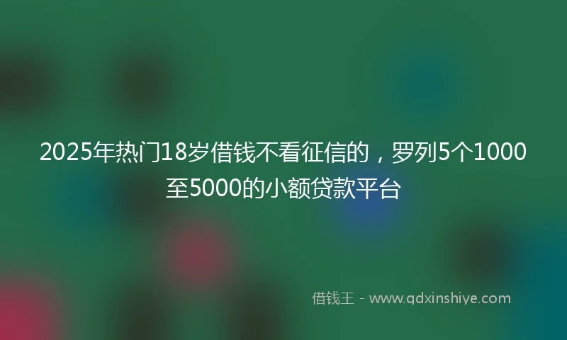 2025年热门18岁借钱不看征信的，罗列5个1000至5000的小额贷款平台