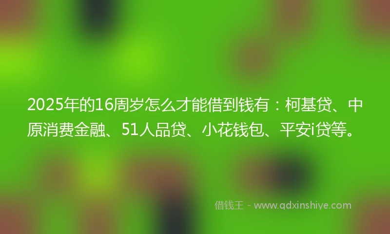 2025年的16周岁怎么才能借到钱有：柯基贷、中原消费金融、51人品贷、小花钱包、平安i贷等。