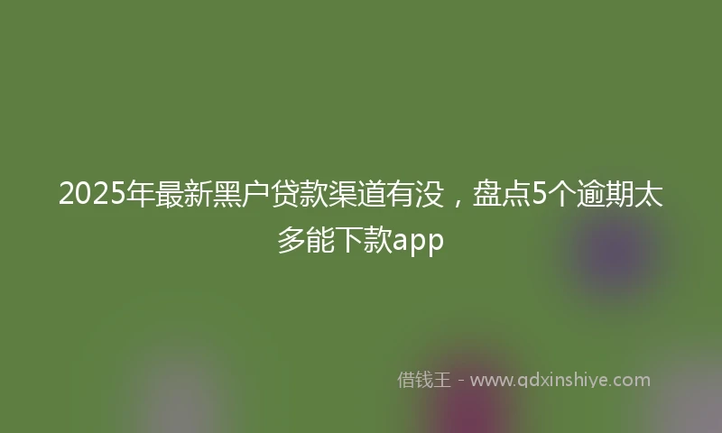 2025年最新黑户贷款渠道有没，盘点5个逾期太多能下款app