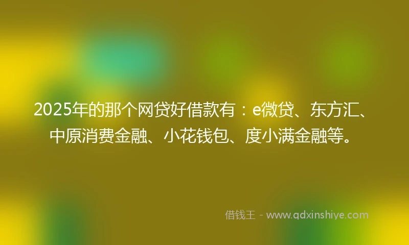 2025年的那个网贷好借款有：e微贷、东方汇、中原消费金融、小花钱包、度小满金融等。