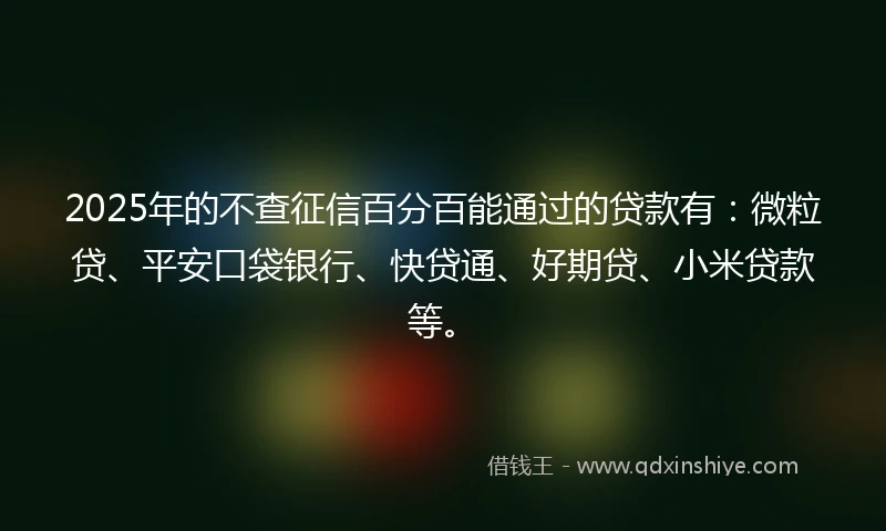 2025年的不查征信百分百能通过的贷款有：微粒贷、平安口袋银行、快贷通、好期贷、小米贷款等。