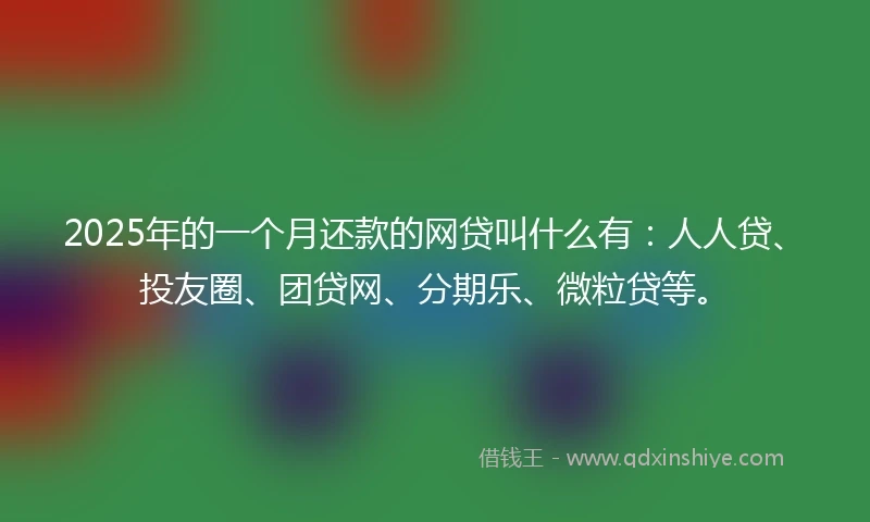 2025年的一个月还款的网贷叫什么有：人人贷、投友圈、团贷网、分期乐、微粒贷等。