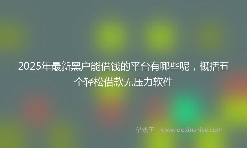 2025年最新黑户能借钱的平台有哪些呢，概括五个轻松借款无压力软件