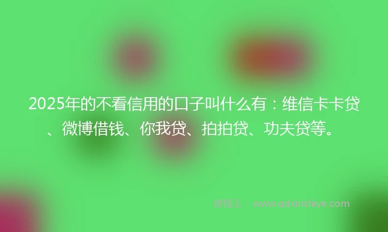 2025年的不看信用的口子叫什么有：维信卡卡贷、微博借钱、你我贷、拍拍贷、功夫贷等。