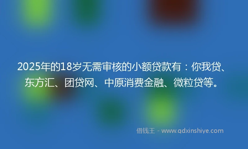 2025年的18岁无需审核的小额贷款有:你我贷、东方汇、团贷网、中原消费金融、微粒贷等。