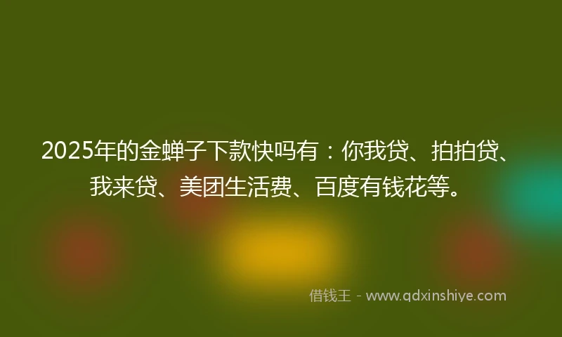 2025年的金蝉子下款快吗有：你我贷、拍拍贷、我来贷、美团生活费、百度有钱花等。