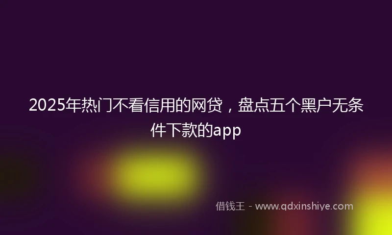 2025年热门不看信用的网贷，盘点五个黑户无条件下款的app
