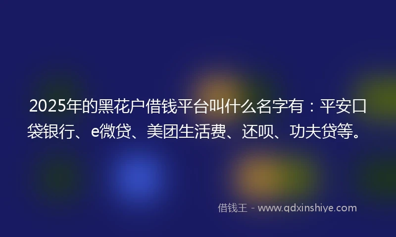 2025年的黑花户借钱平台叫什么名字有：平安口袋银行、e微贷、美团生活费、还呗、功夫贷等。