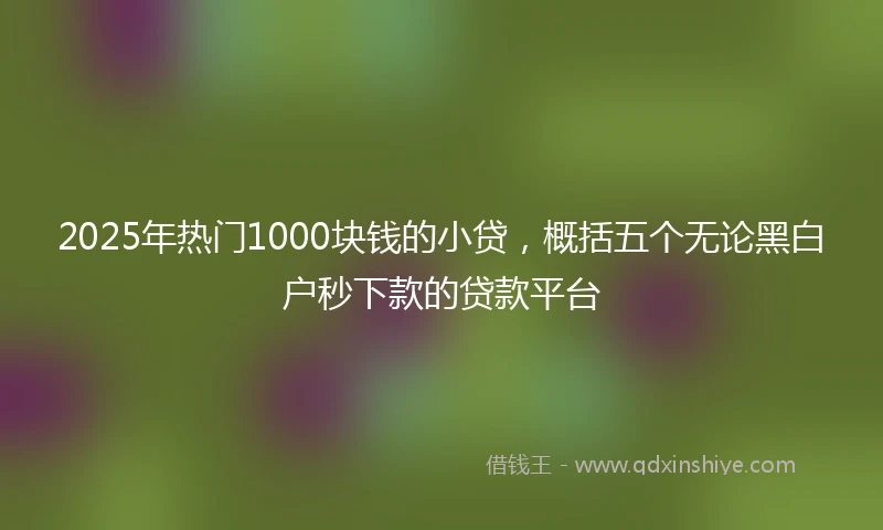 2025年热门1000块钱的小贷,概括五个无论黑白户秒下款的贷款平台