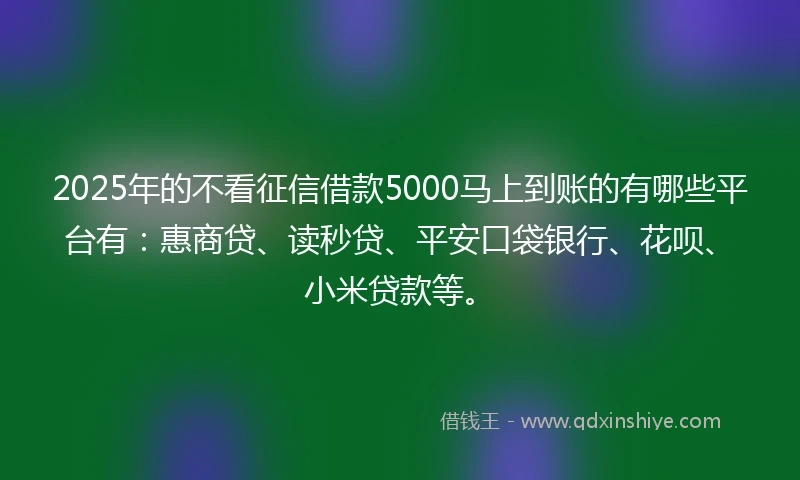 2025年的不看征信借款5000马上到账的有哪些平台有：惠商贷、读秒贷、平安口袋银行、花呗、小米贷款等。