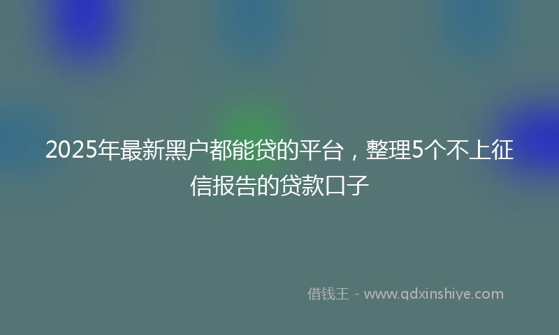 2025年最新黑户都能贷的平台，整理5个不上征信报告的贷款口子