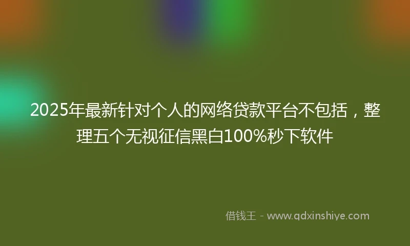 2025年最新针对个人的网络贷款平台不包括，整理五个无视征信黑白100%秒下软件