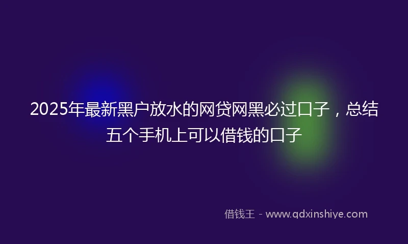 2025年最新黑户放水的网贷网黑必过口子，总结五个手机上可以借钱的口子