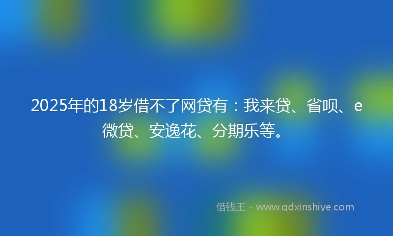 2025年的18岁借不了网贷有：我来贷、省呗、e微贷、安逸花、分期乐等。