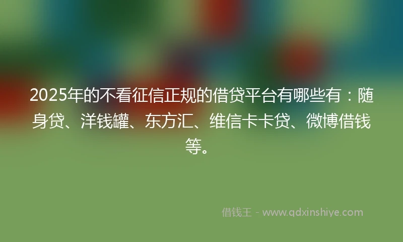 2025年的不看征信正规的借贷平台有哪些有：随身贷、洋钱罐、东方汇、维信卡卡贷、微博借钱等。