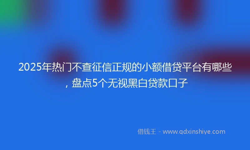 2025年热门不查征信正规的小额借贷平台有哪些，盘点5个无视黑白贷款口子