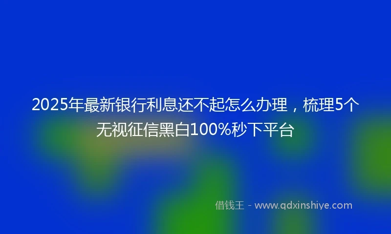 2025年最新银行利息还不起怎么办理，梳理5个无视征信黑白100%秒下平台