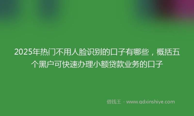 2025年热门不用人脸识别的口子有哪些，概括五个黑户可快速办理小额贷款业务的口子