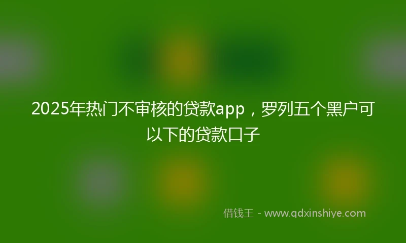 2025年热门不审核的贷款app,罗列五个黑户可以下的贷款口子