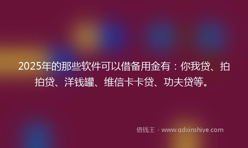2025年的那些软件可以借备用金有：你我贷、拍拍贷、洋钱罐、维信卡卡贷、功夫贷等。