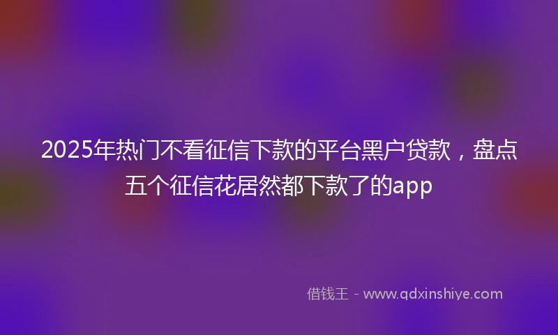 2025年热门不看征信下款的平台黑户贷款,盘点五个征信花居然都下款了的app