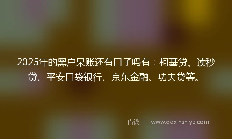 2025年的黑户呆账还有口子吗有：柯基贷、读秒贷、平安口袋银行、京东金融、功夫贷等。