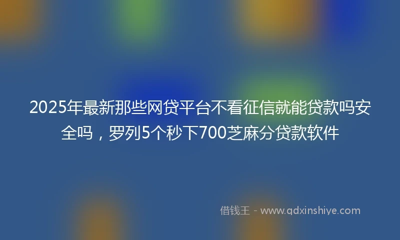 2025年最新那些网贷平台不看征信就能贷款吗安全吗，罗列5个秒下700芝麻分贷款软件