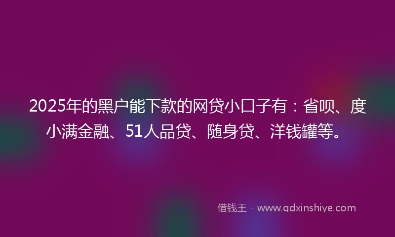 2025年的黑户能下款的网贷小口子有：省呗、度小满金融、51人品贷、随身贷、洋钱罐等。