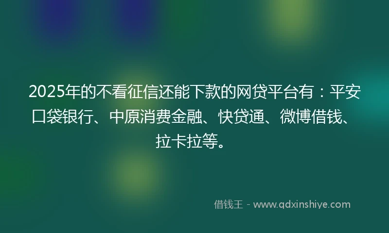 2025年的不看征信还能下款的网贷平台有：平安口袋银行、中原消费金融、快贷通、微博借钱、拉卡拉等。
