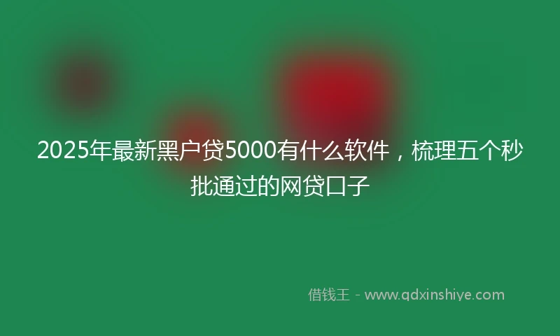 2025年最新黑户贷5000有什么软件，梳理五个秒批通过的网贷口子