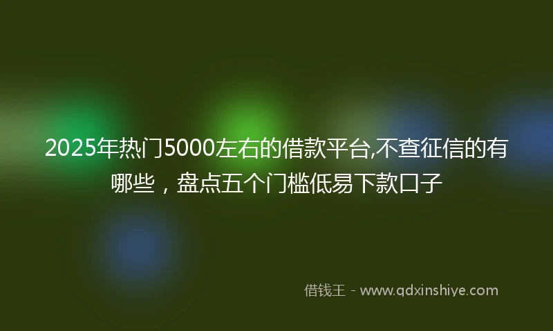 2025年热门5000左右的借款平台,不查征信的有哪些，盘点五个门槛低易下款口子