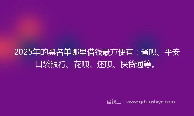 2025年的黑名单哪里借钱最方便有：省呗、平安口袋银行、花呗、还呗、快贷通等。