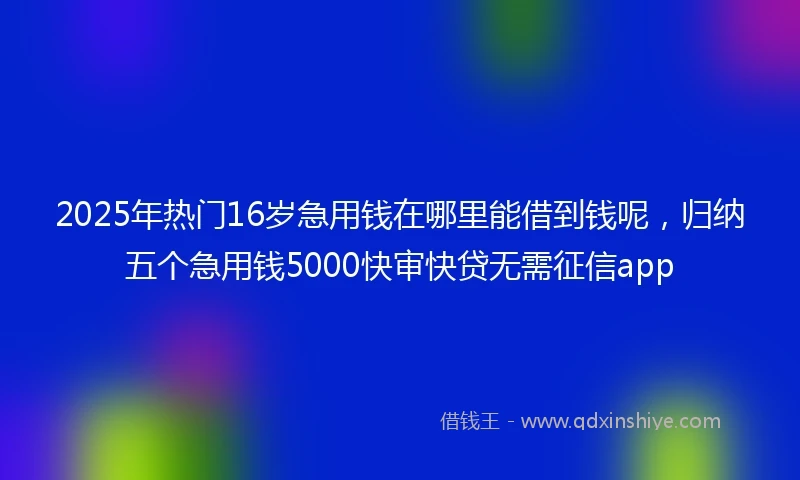 2025年热门16岁急用钱在哪里能借到钱呢，归纳五个急用钱5000快审快贷无需征信app